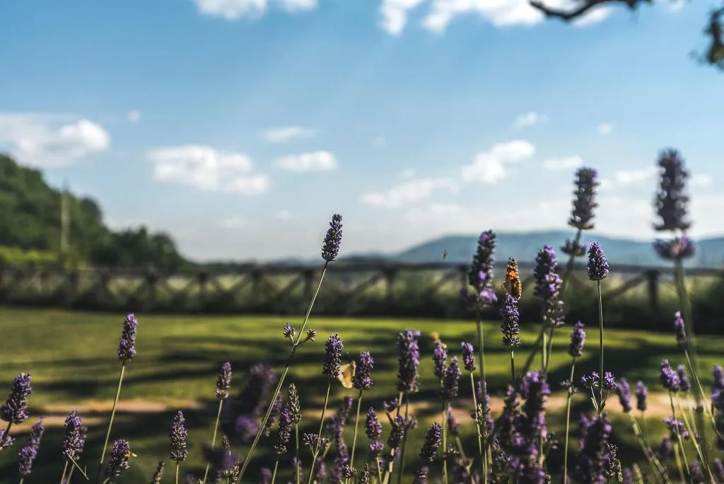 General view, Nikis Resort, Umbria