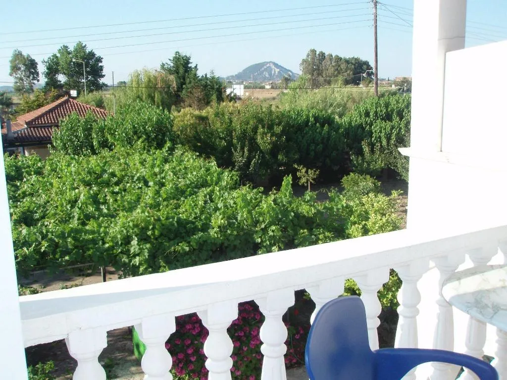 Room, Studio Stars, Zante