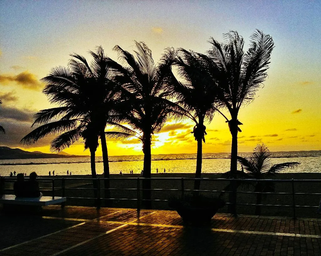 General view, Brisamar Canteras, Gran Canaria