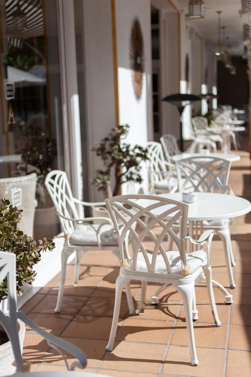 Terrace, Hotel Araxa - Adults only, Majorca