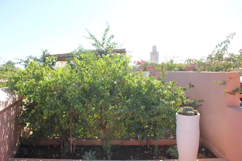 Terrace, Riad Du Ciel, Marrakech