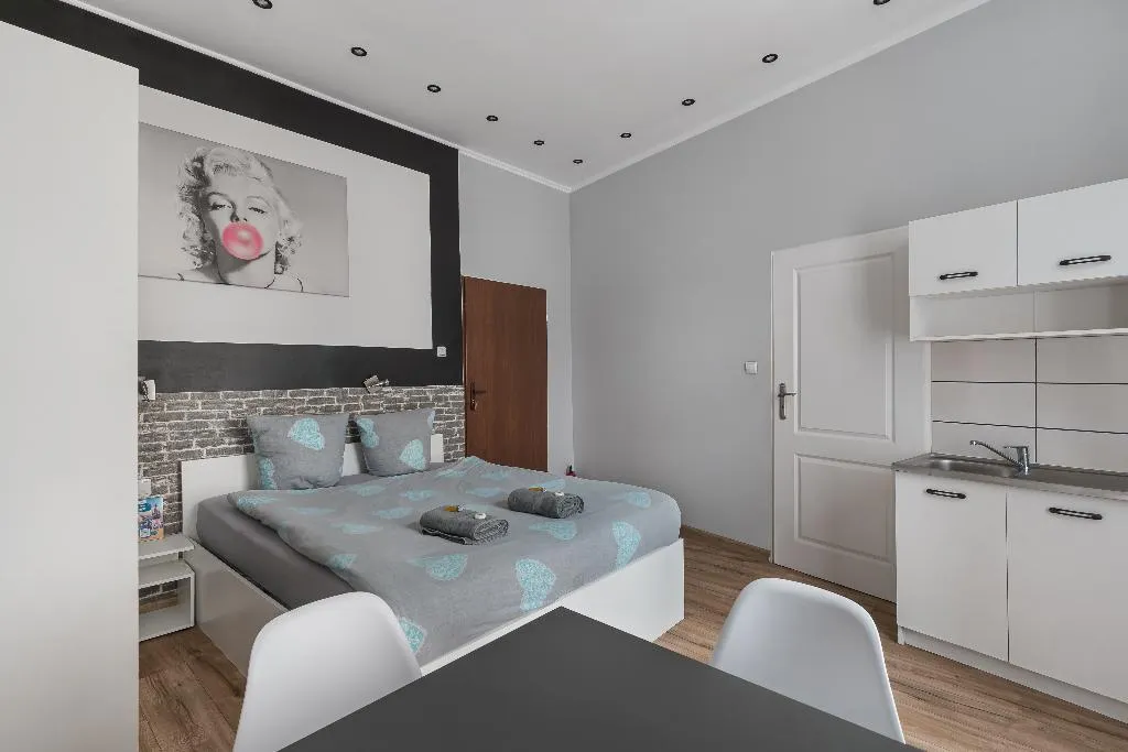 APARTMENT CAPACITY 2 Room, Queen Apartments, Krakow