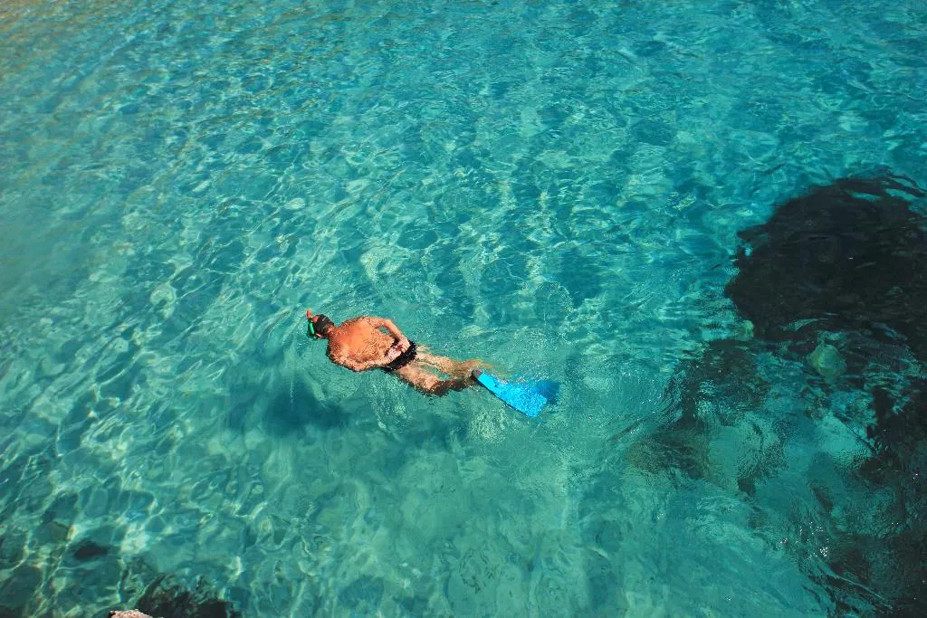 Sports and Entertainment, Niu d'Aus, Majorca