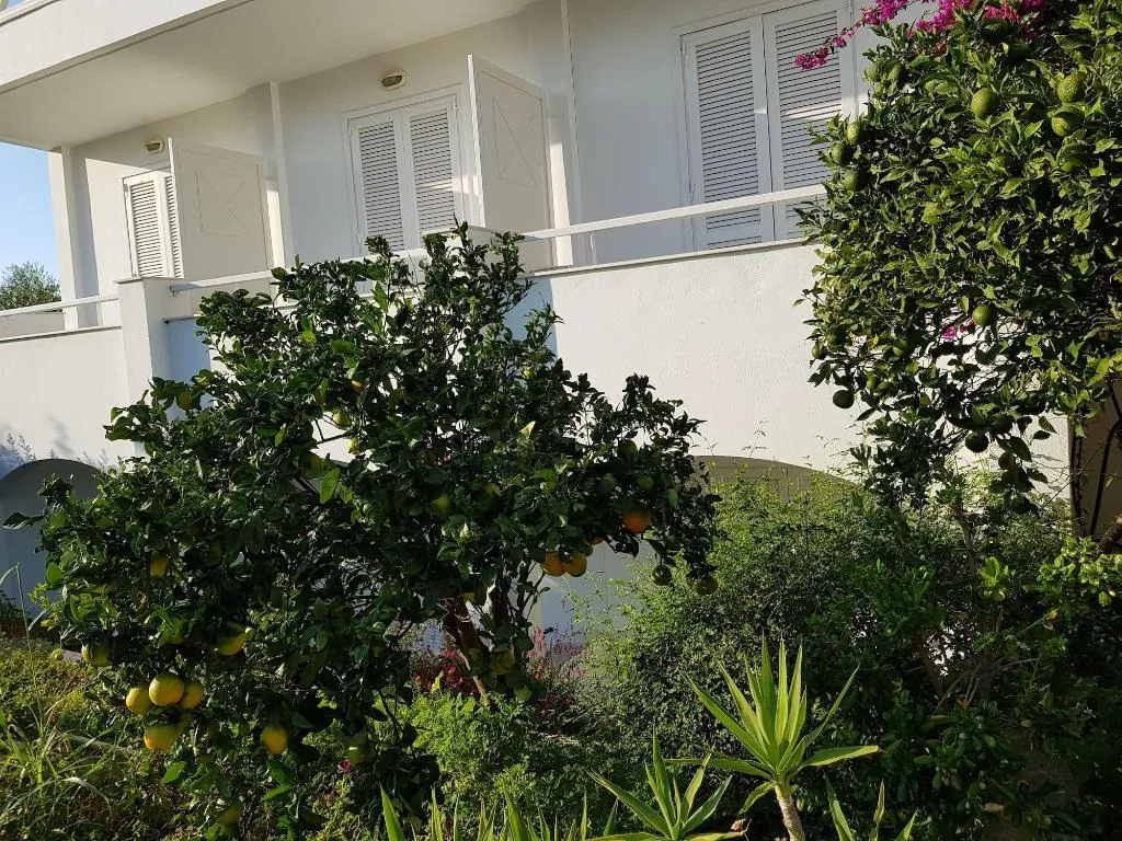 General view, Mantenia Hotel, Crete