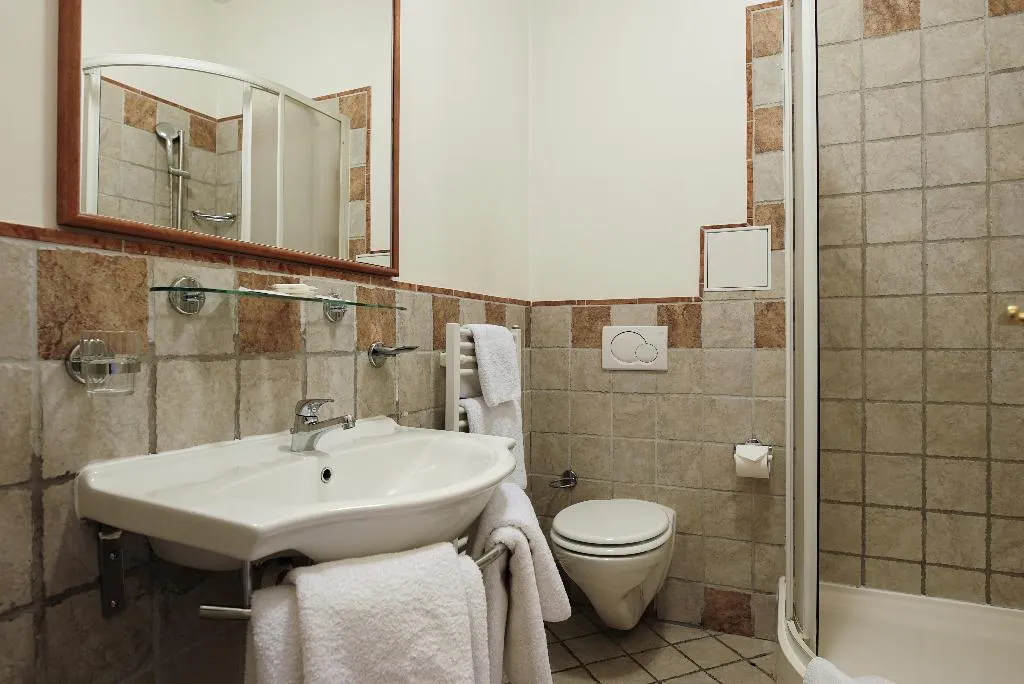 SINGLE STANDARD Room, Hotel Tivoli Prague, Prague