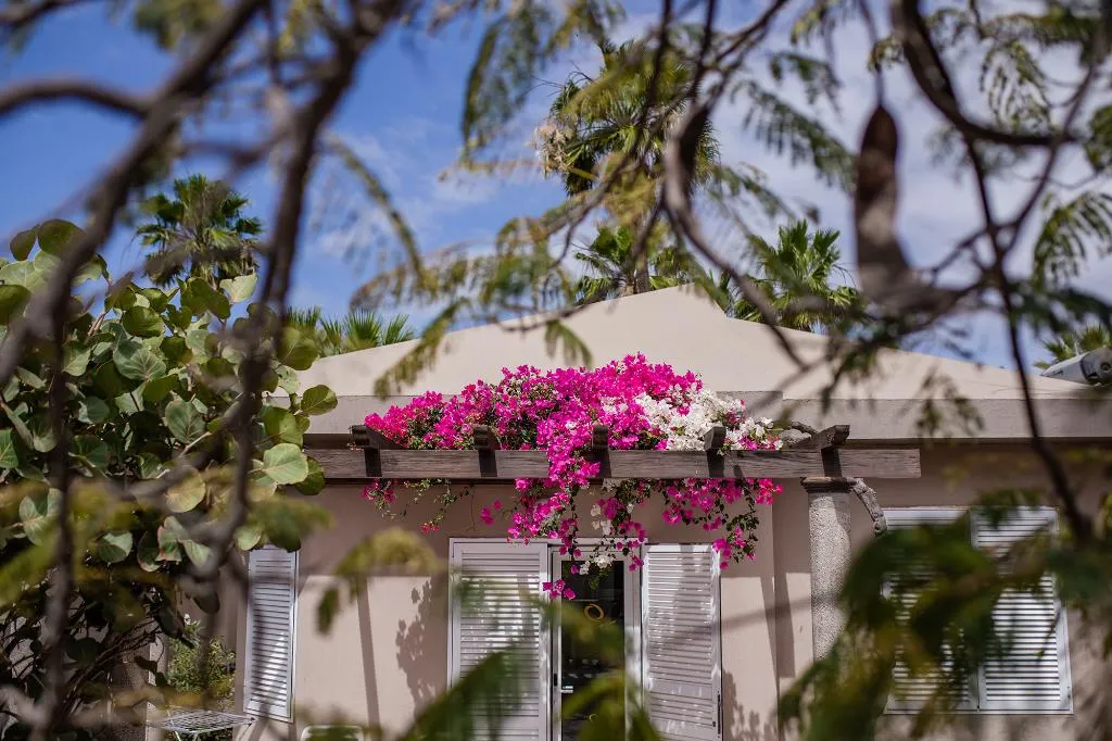 BUNGALOW STANDARD Room, Caybeach Princess, Gran Canaria