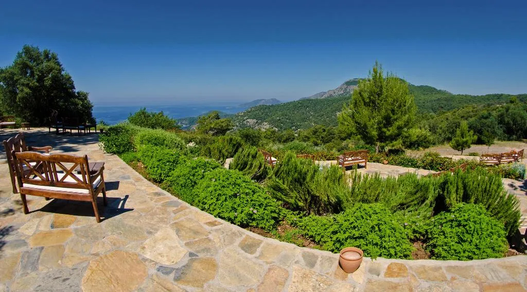 Terrace, Montana Pine, Dalaman