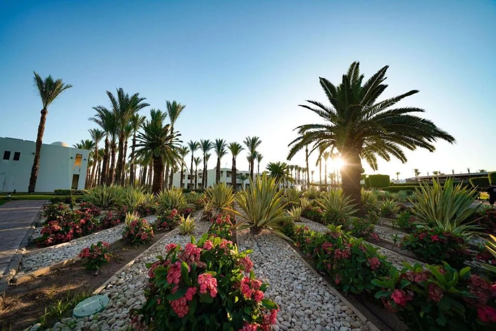 Terrace, Sentido Reef Oasis Senses Resort, Red Sea Riviera