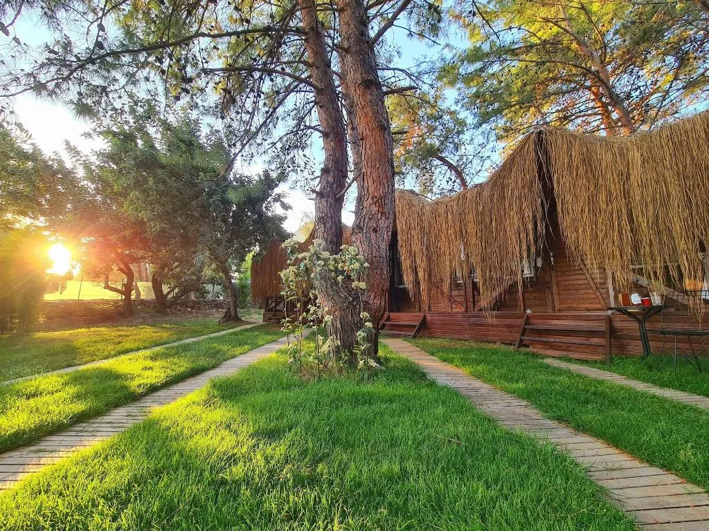 Room, Green Pine Beach & Bungalows Luxury Concept, Dalaman