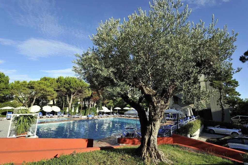 Pool, Hotel Bembo, Venice