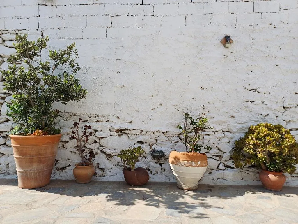 General view, Manos Rooms, Mykonos