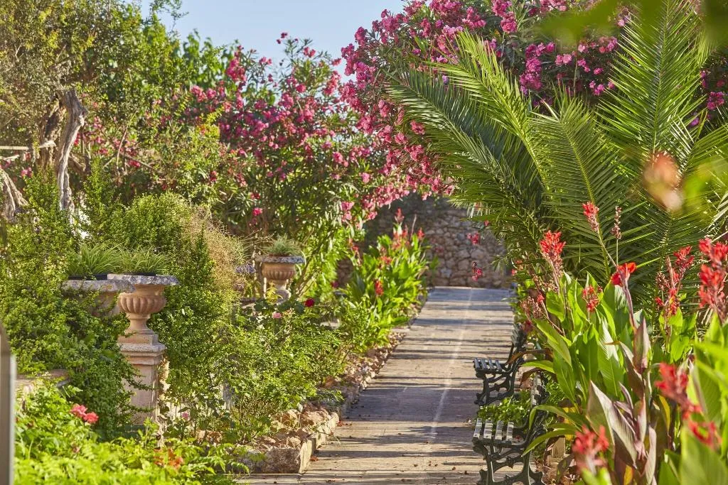 Terrace, Bennoc Petit Hotel, Majorca