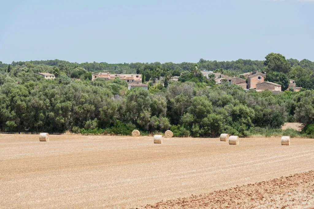 Sports and Entertainment, Rural Son Jorda, Majorca