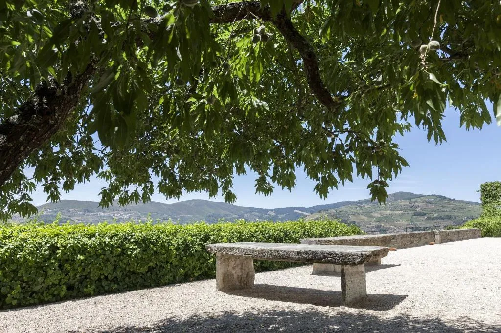Terrace, Casa De Casal De Loivos, Porto