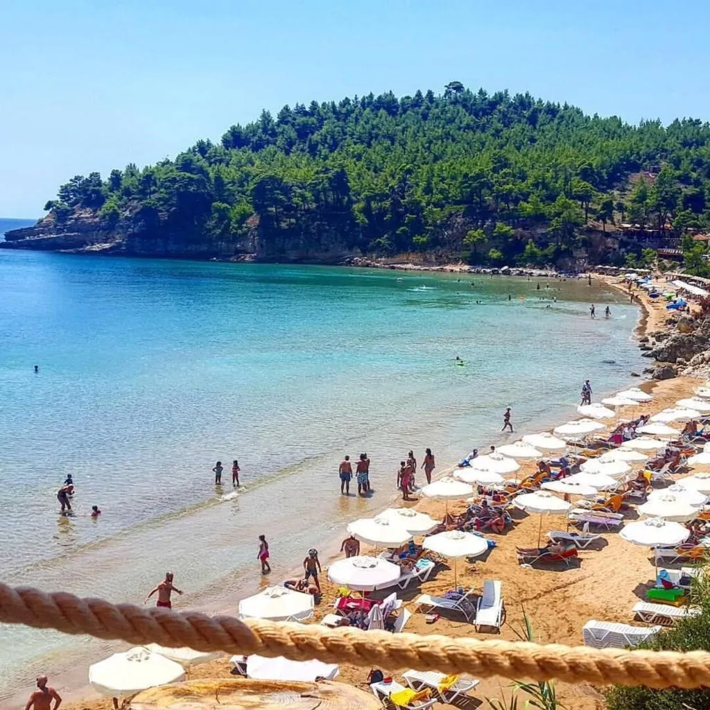 Beach, Alonissos Beach Bungalows & Suites Hotel, Skiathos