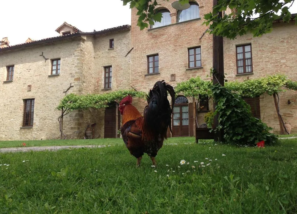 General view, Country House Il Biribino, Perugia