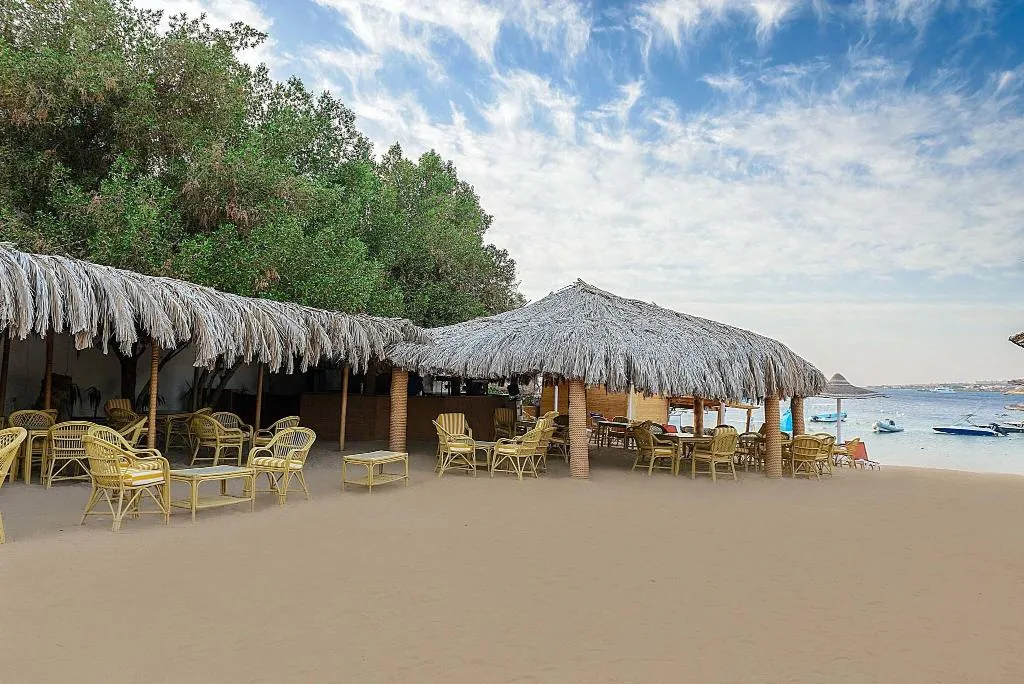 Bar, Prima Life Makadi Resort, Red Sea Riviera