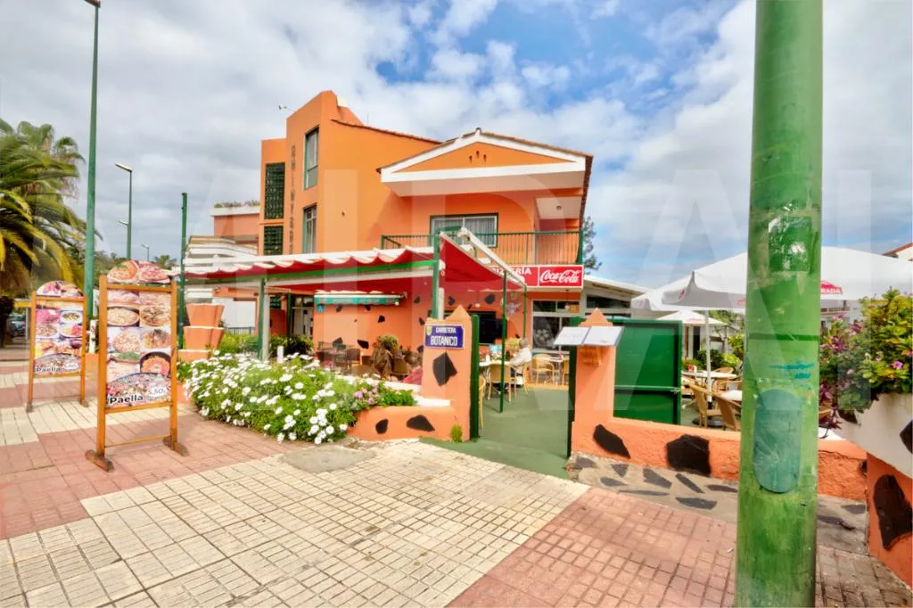 General view, Apartamentos Chinyero, Tenerife