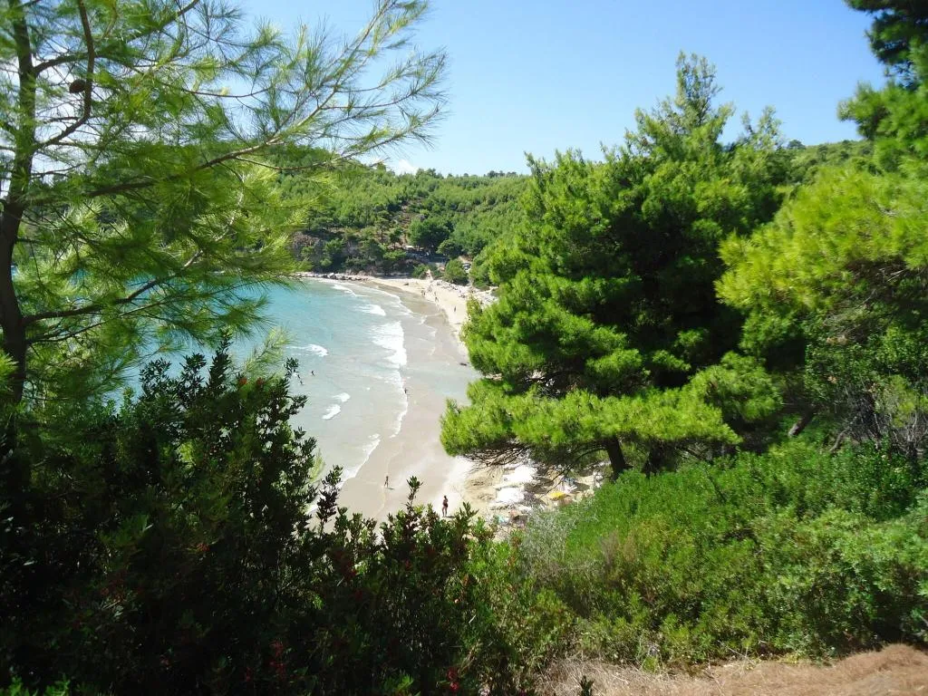 General view, Alonissos Beach Bungalows & Suites Hotel, Skiathos