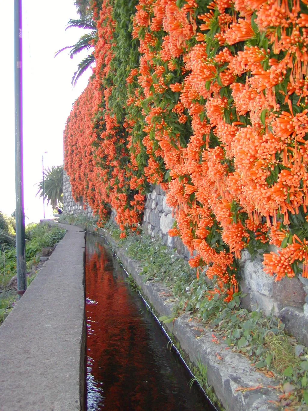 General view, Vila Marta, Madeira