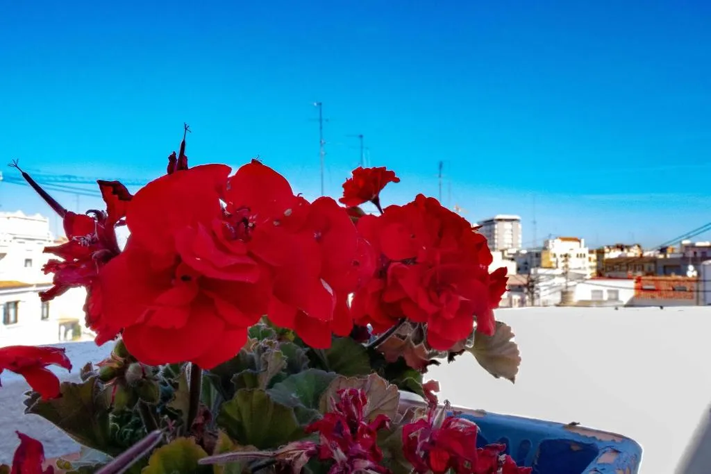 Terrace, B&B Hi Valencia Cánovas, Valencia