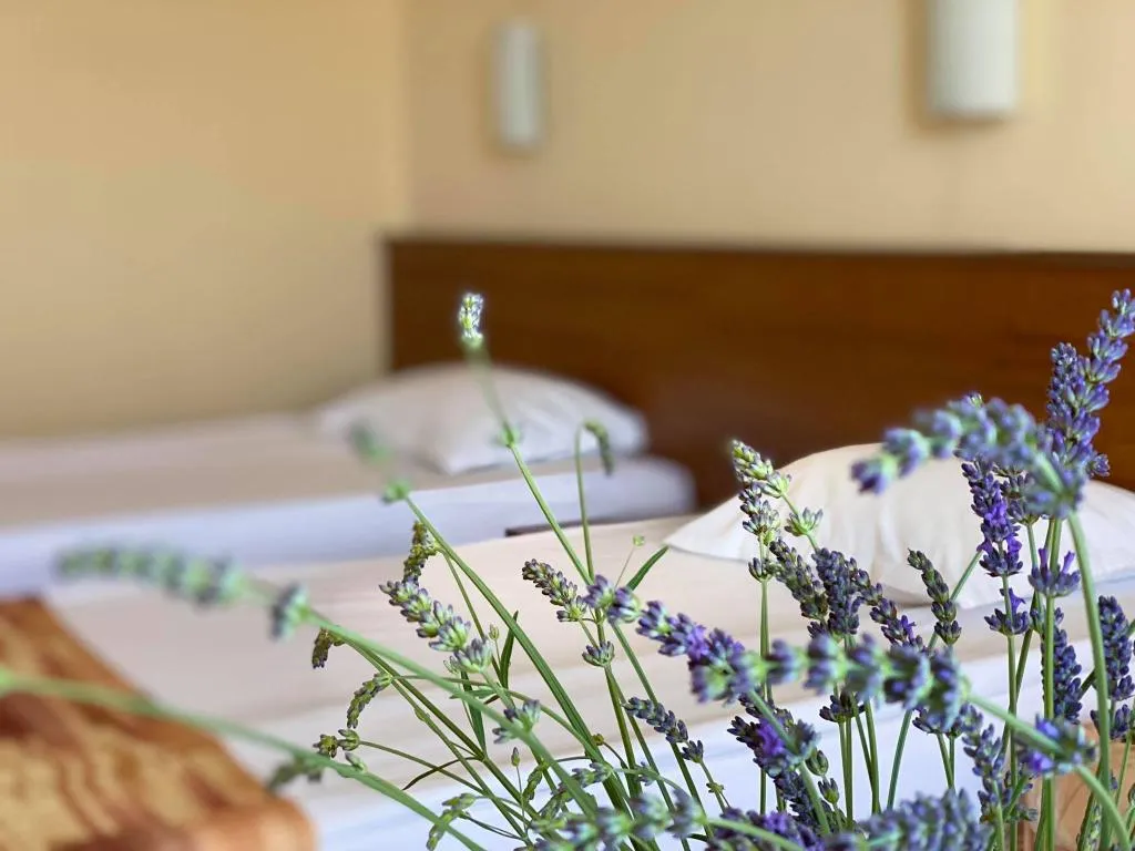 DOUBLE STANDARD Room, Plamena Palace, Bourgas