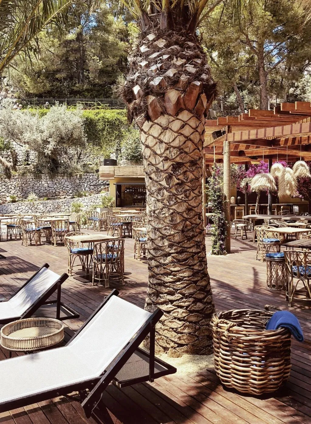 Terrace, Hotel Sentido Porto Soller, Majorca