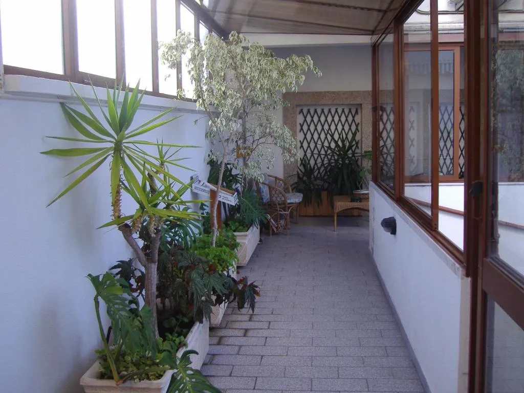 Terrace, Grande Rio, Porto
