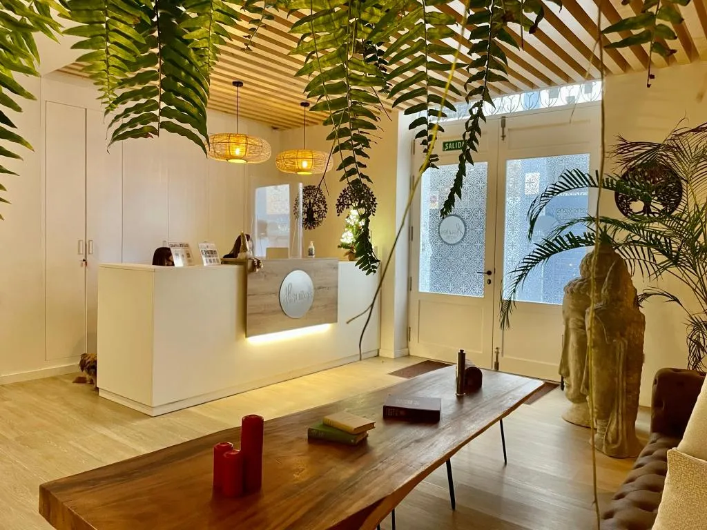 Lobby, Hotel emblemático Hi Suites, Tenerife