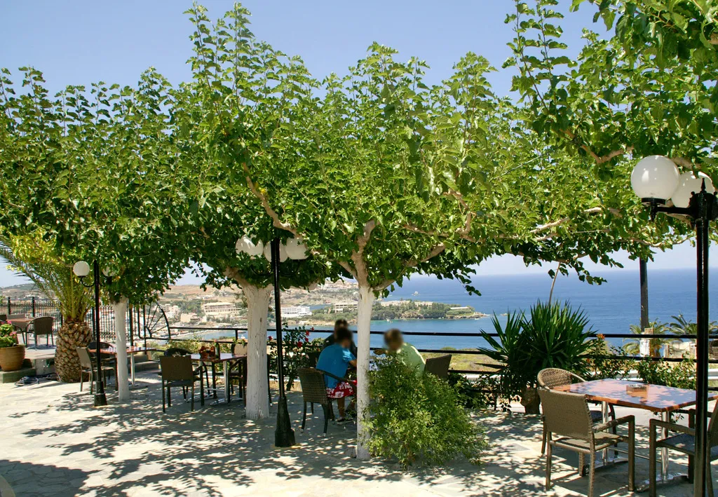 Restaurant, Pennystella Apartments, Crete