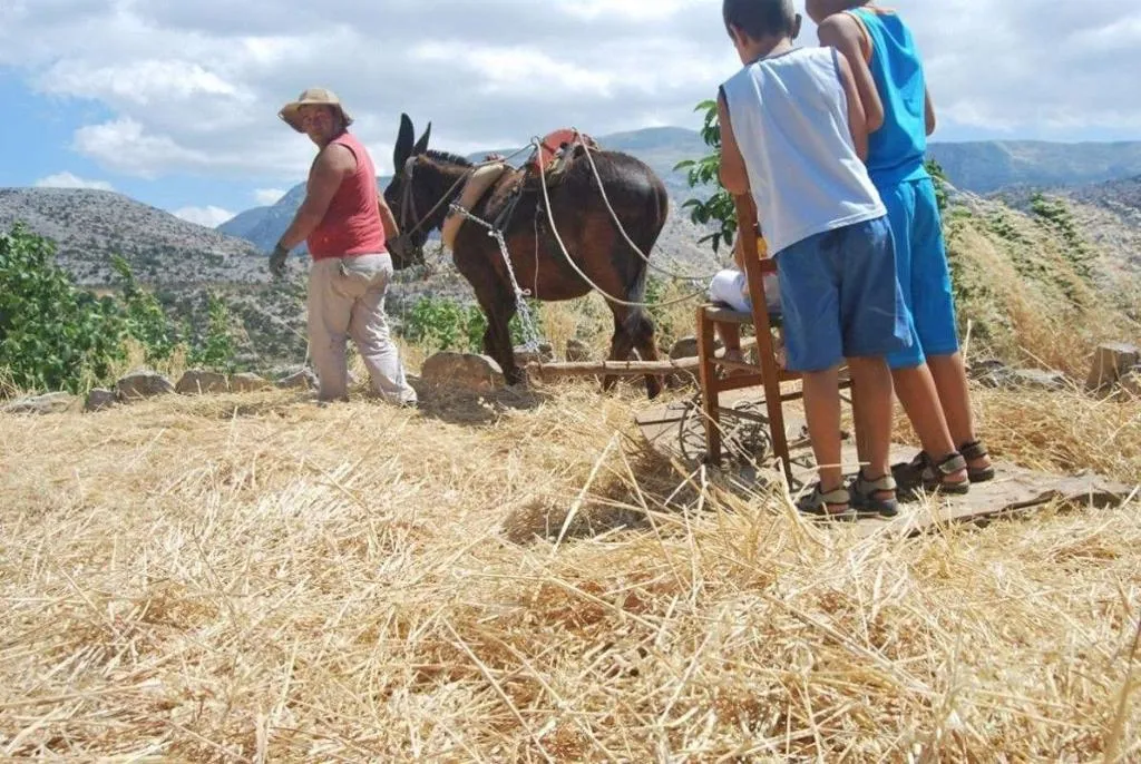 Sports and Entertainment, Arodamos Traditional Houses, Crete