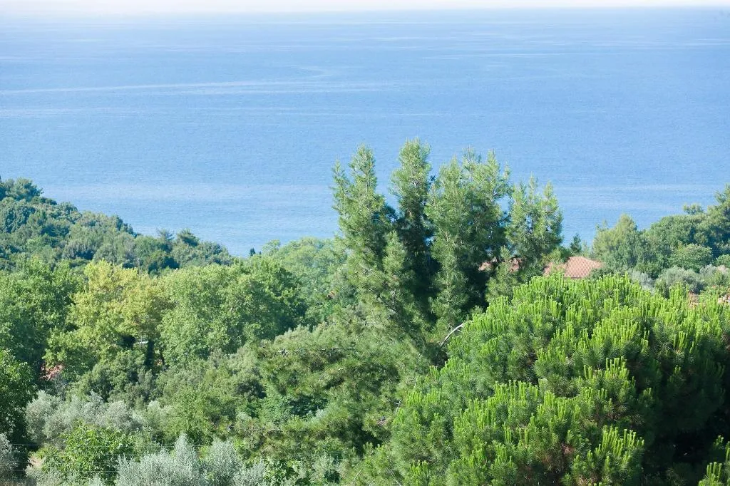 General view, 12 Olympian Gods, Thessaloniki