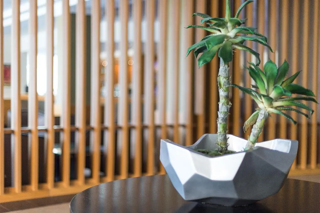 Lobby, Vila Baleira Porto Santo, Porto Santo