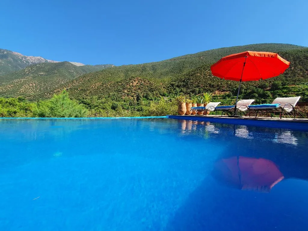 Pool, Kasbah Africa, Marrakech