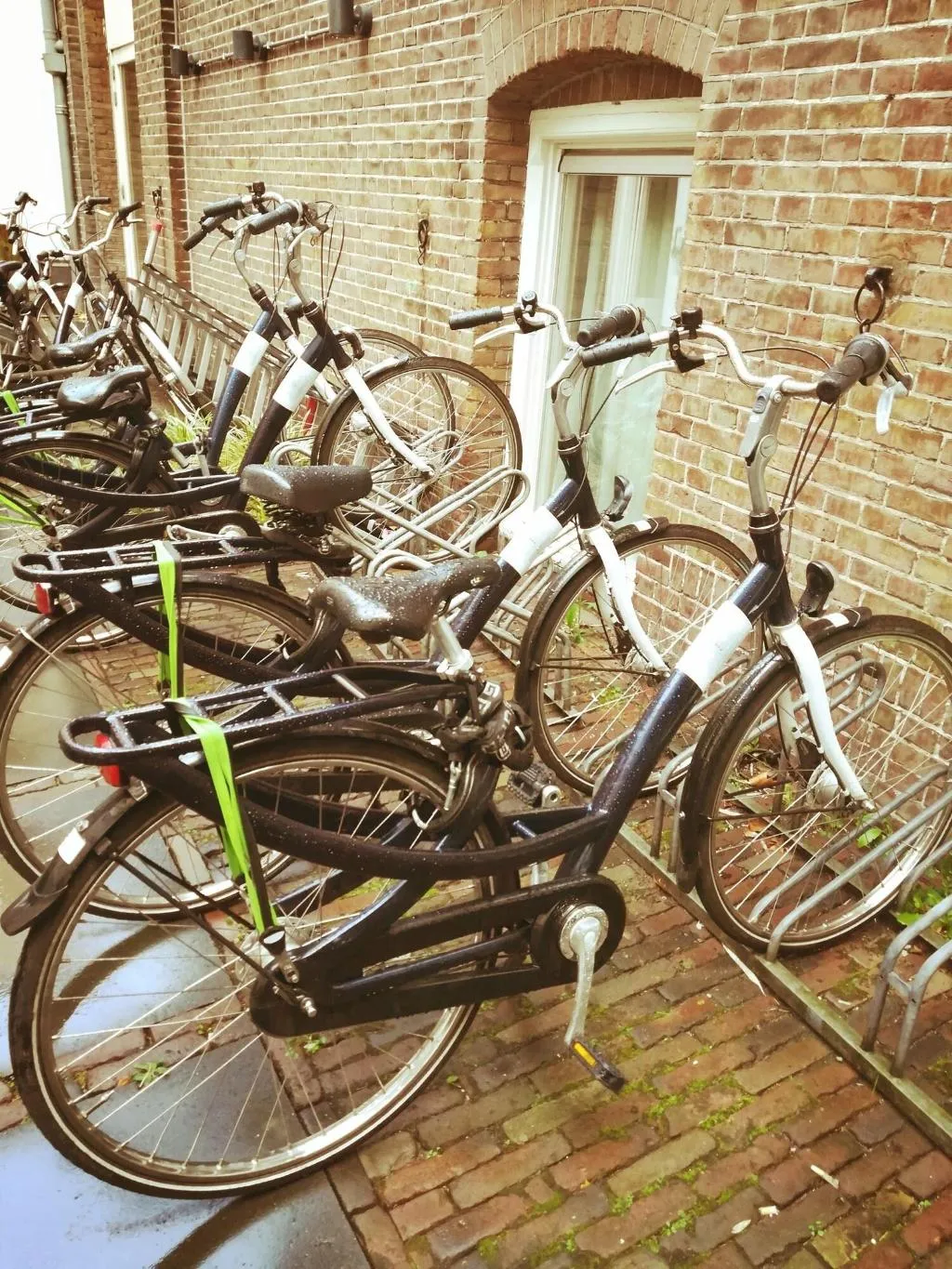Sports and Entertainment, Iron Horse, Amsterdam