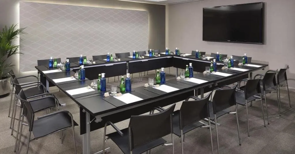 Conferences, Melia Castilla, Madrid
