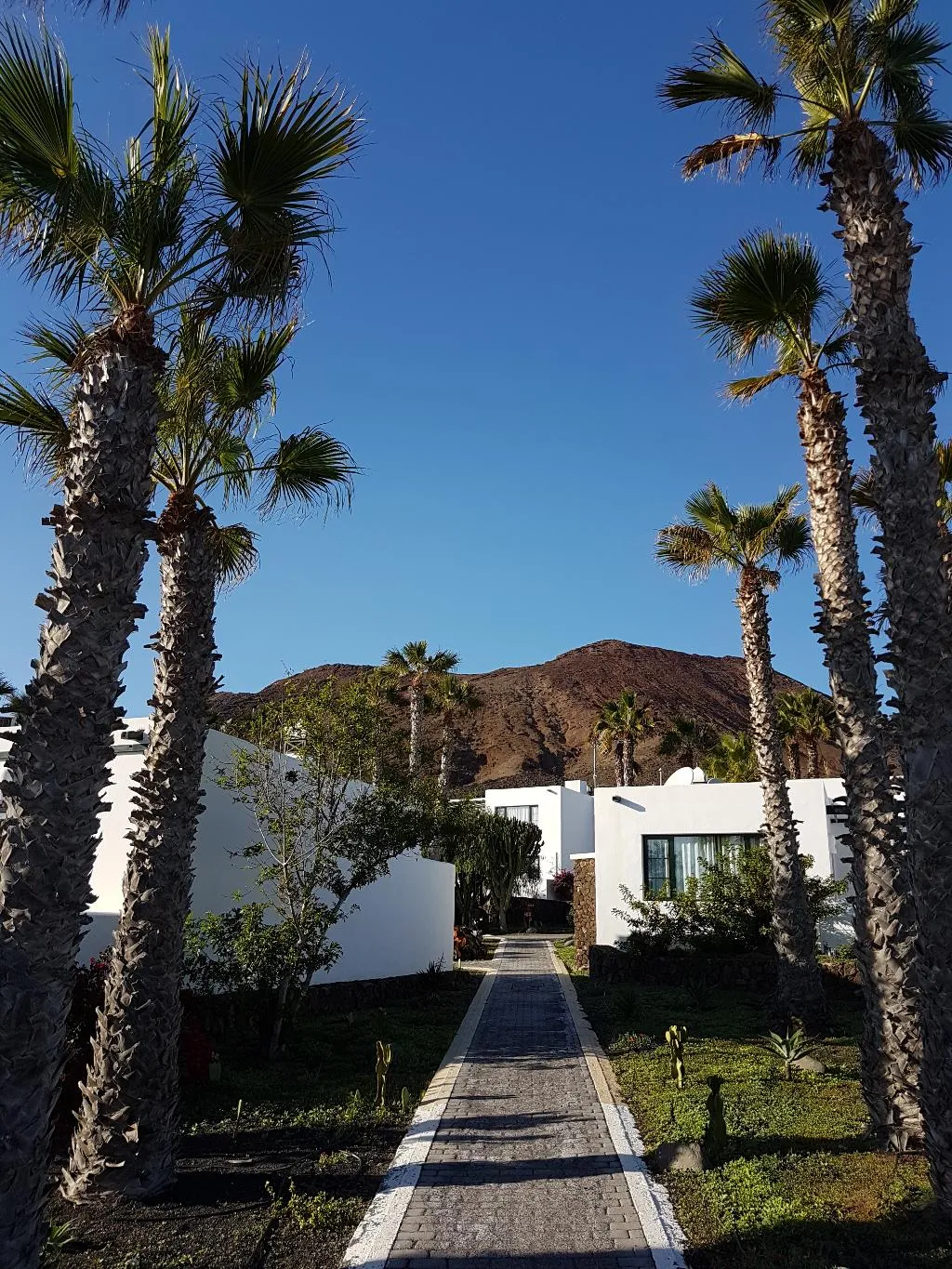 General view, Palmeras Garden, Lanzarote