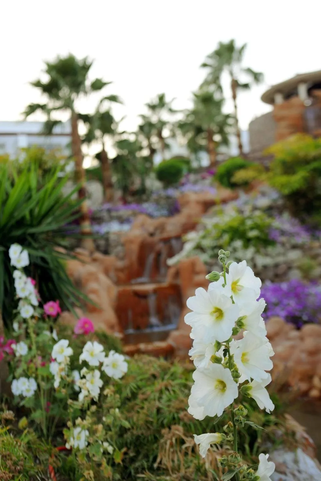 Room, Renaissance Sharm El Sheikh Golden View Beach Rest, Red Sea Riviera