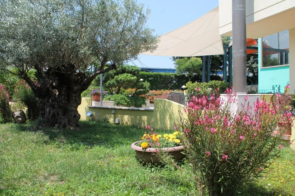 Terrace, Maiuri, Naples