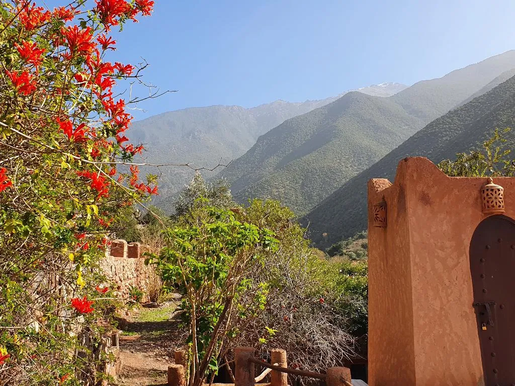 Terrace, Kasbah Africa, Marrakech