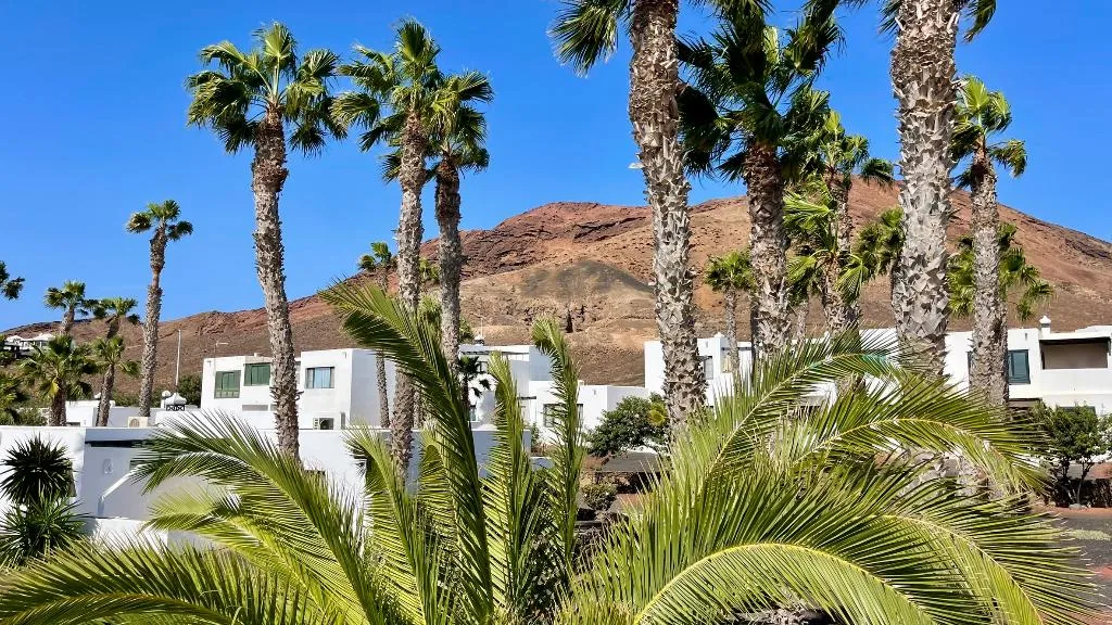 General view, Palmeras Garden, Lanzarote