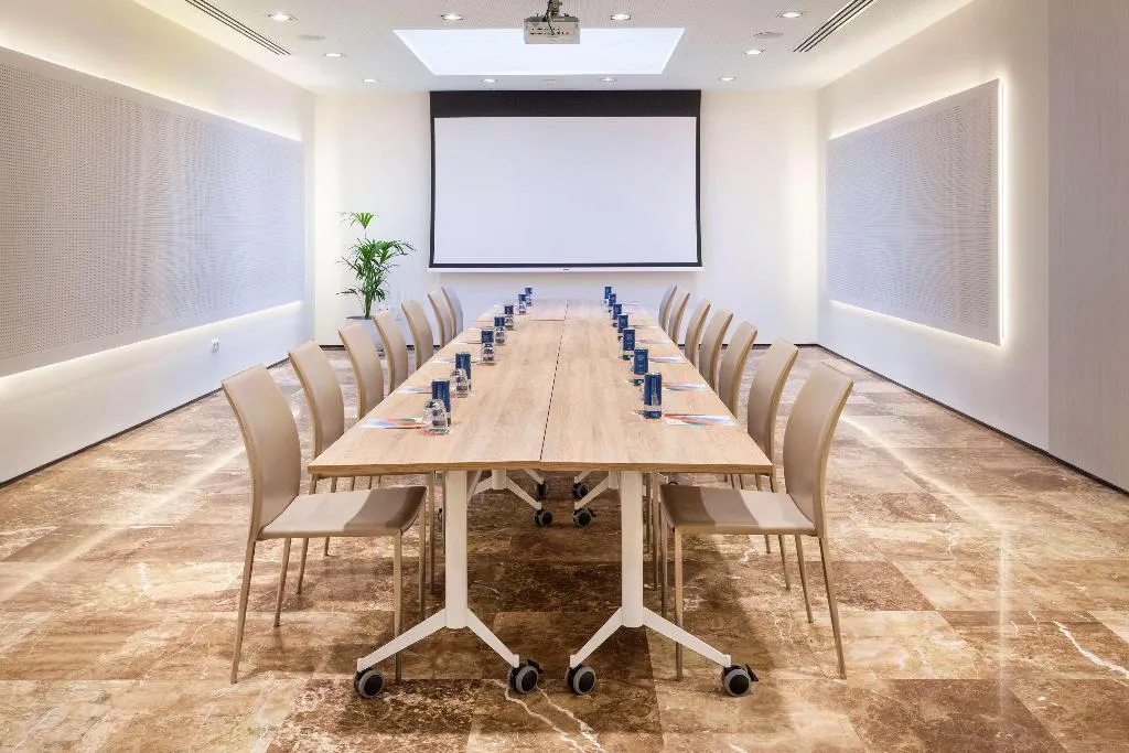 Conferences, Melia Lebreros, Seville