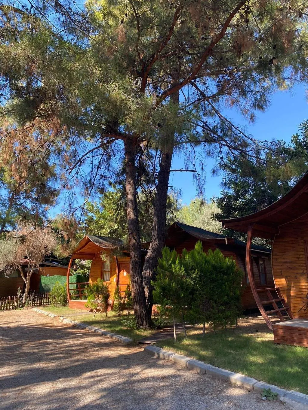 General view, Green Pine Beach & Bungalows Luxury Concept, Dalaman