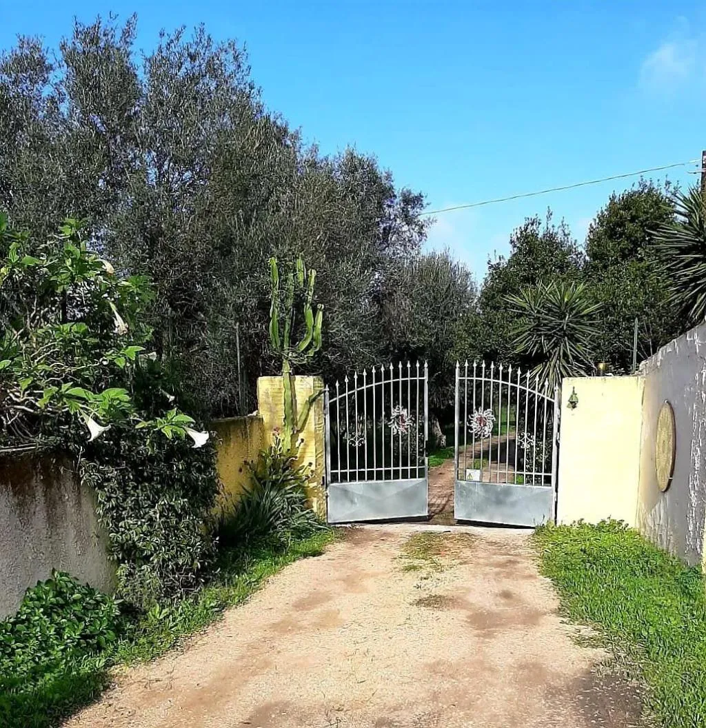 General view, Bed And Breakfast Dal Pozzo, Alghero