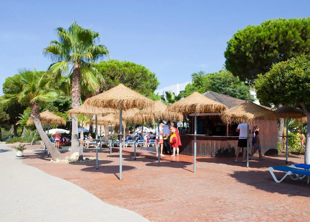 Terrace, Playacartaya, Costa De La Luz
