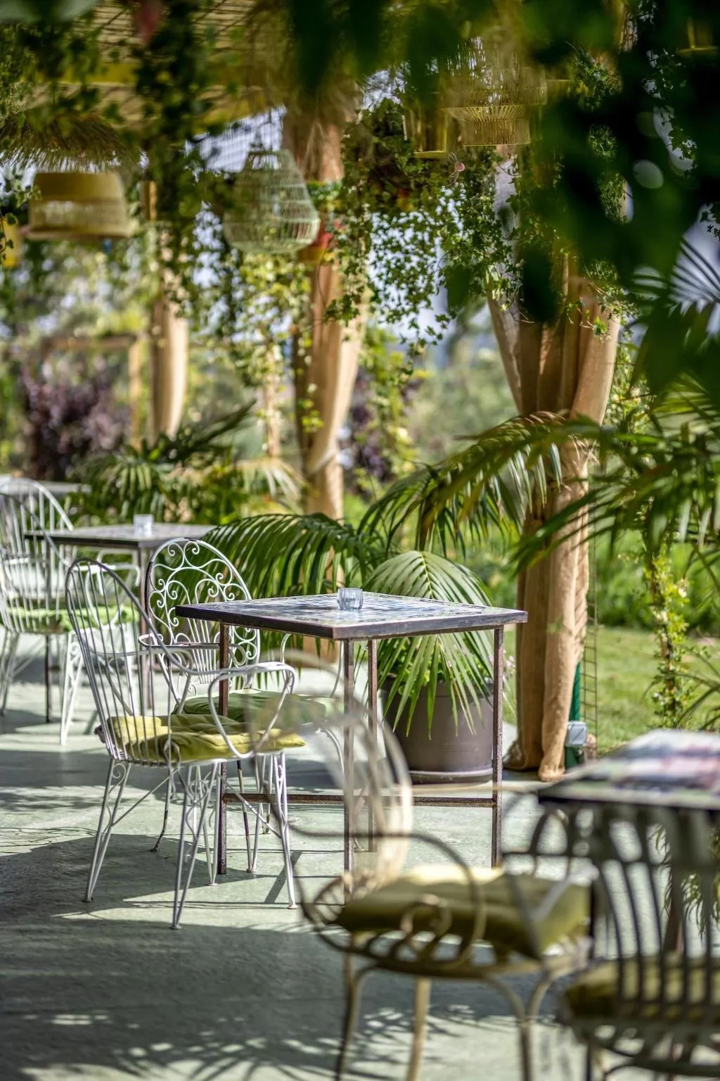 Restaurant, Aal Cachucho, Madrid