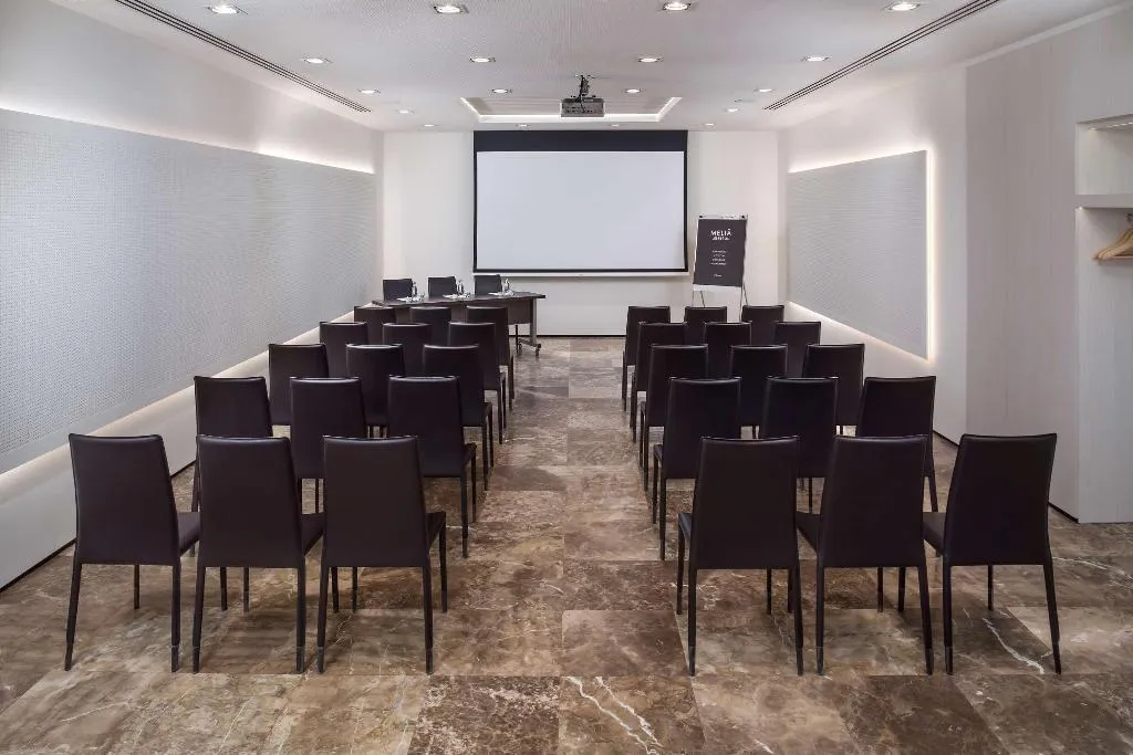 Conferences, Melia Lebreros, Seville