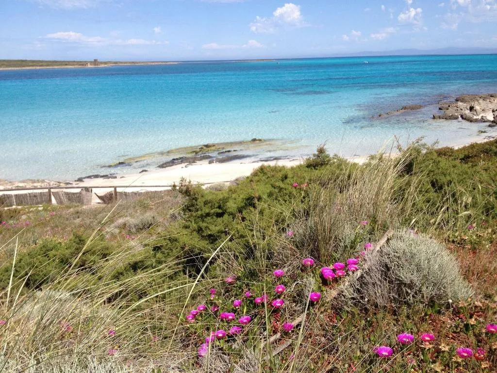 Beach, Cala Rosa Club Hotel, Alghero