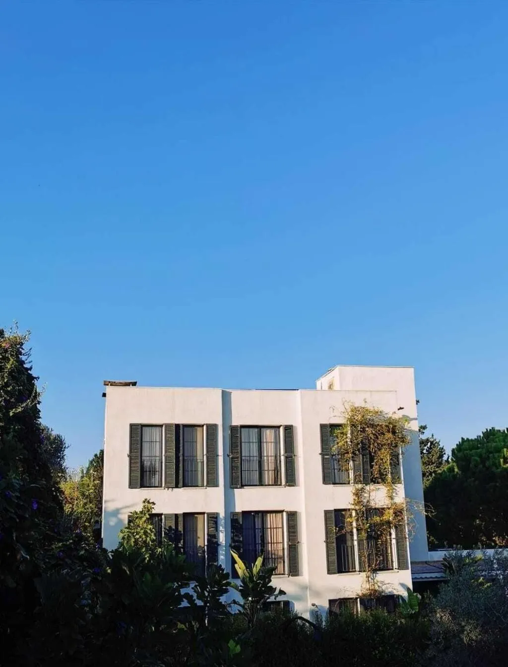 General view, Savra Bodrum, Bodrum
