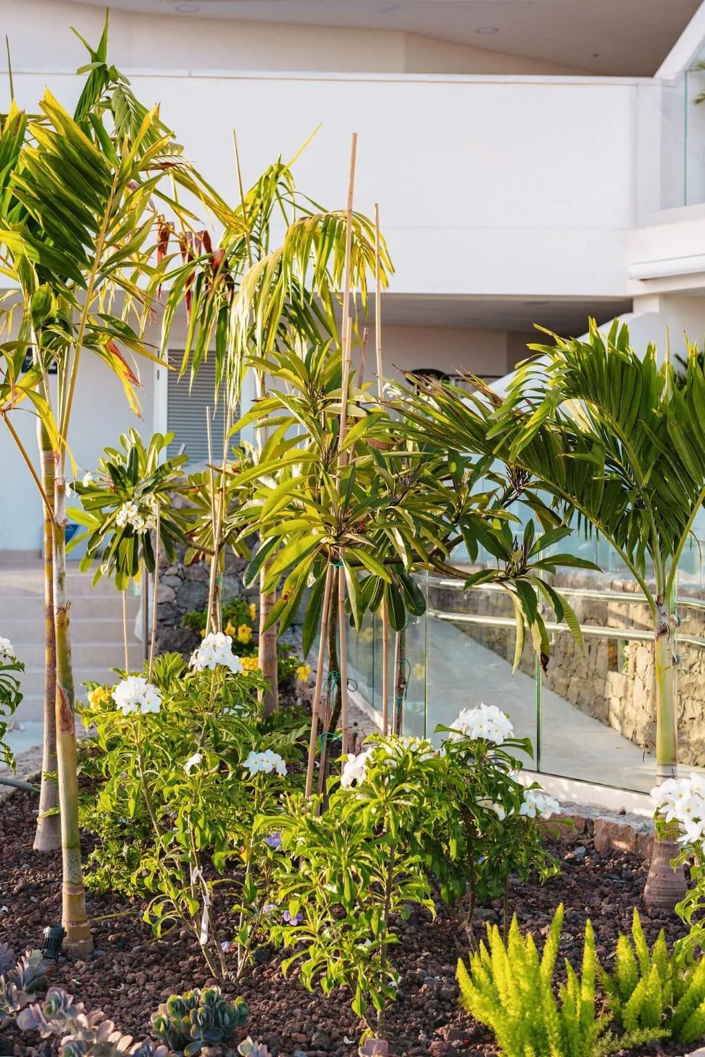 General view, Grand Horizon Resort Boutique, Gran Canaria